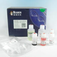 BeaverBeadsGX-5G 凝胶回收试剂盒5ml