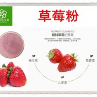 草莓粉 浓缩草莓原料粉 VC含量高 糖果饮料优选  现货批发
