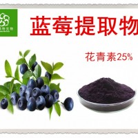 蓝莓粉 速溶蓝莓果汁粉 花青素25% 食品级SC认证