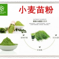 食品级 小麦苗粉 小麦草粉 多膳食纤维 铁 钙 SOD活性酶