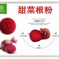 甜菜根粉 红甜菜浓缩粉 膳食纤维 维C丰富