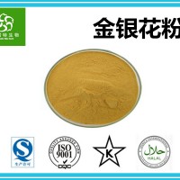 水溶性金银花粉 金银花提取物 专业植提 源头厂家 现货供应