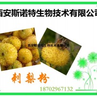 刺梨比例提取物 30:1 比例提取物 可试样