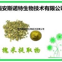 槐米比例提取物 20:1 FLOS SOPHORAE