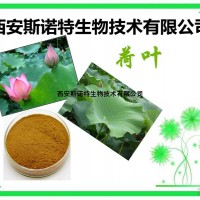荷叶碱2% 荷叶提取物 提取物 斯诺特生物