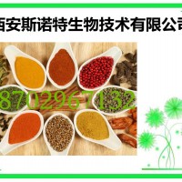 草木犀提取物 10:1 快速发货 斯诺特生物