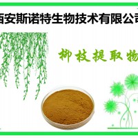 水杨甙25% 柳枝提取物 垂柳提取物 柳枝粉