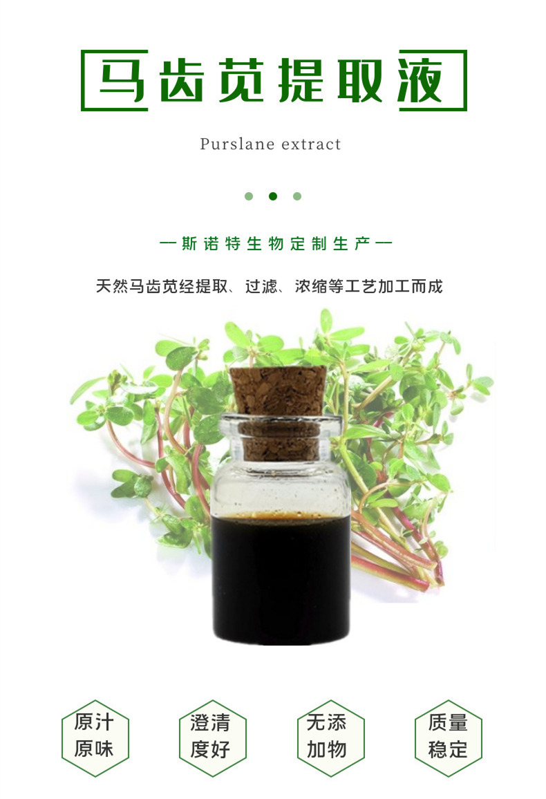 马齿苋提取液