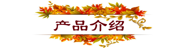 产品介绍