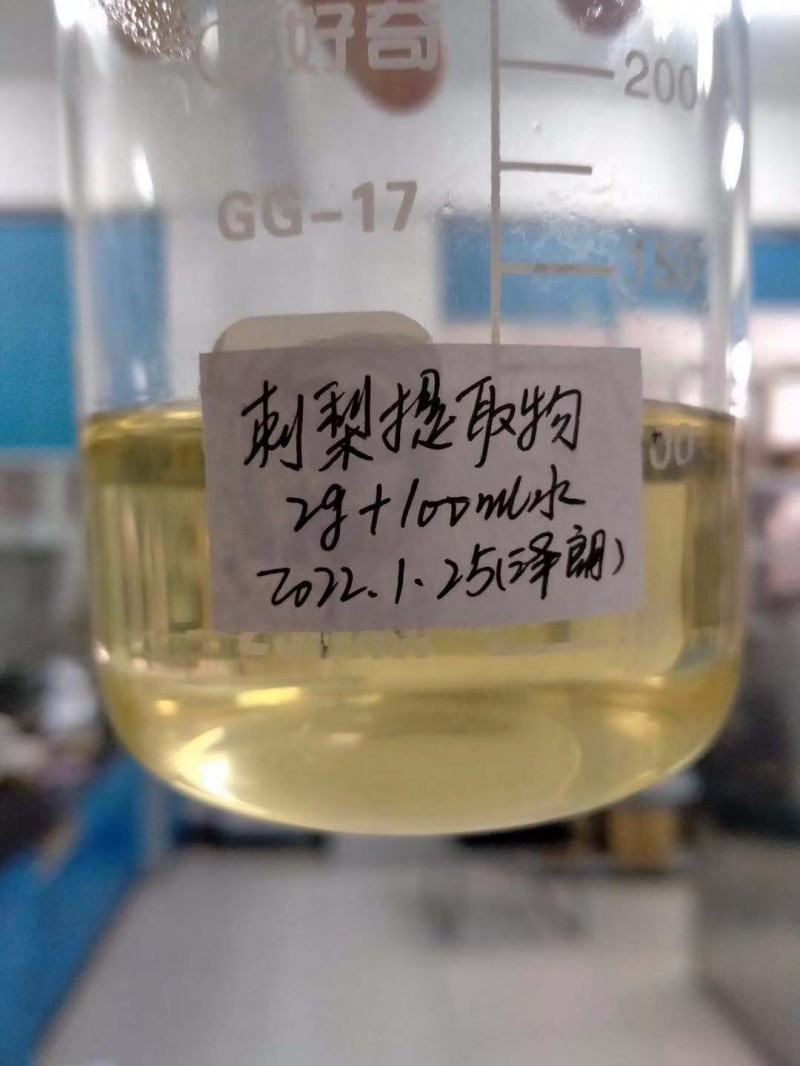刺梨浓缩粉