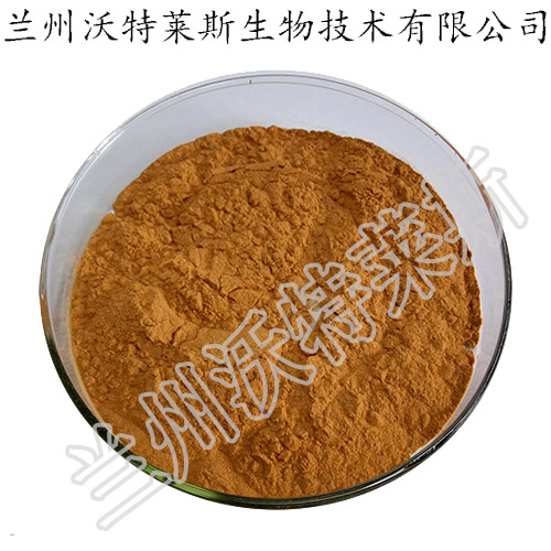 刺玫果提取物