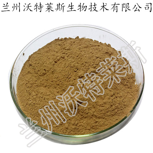 蔊菜提取物