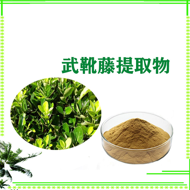 武靴藤提取物