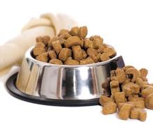 dog food 42