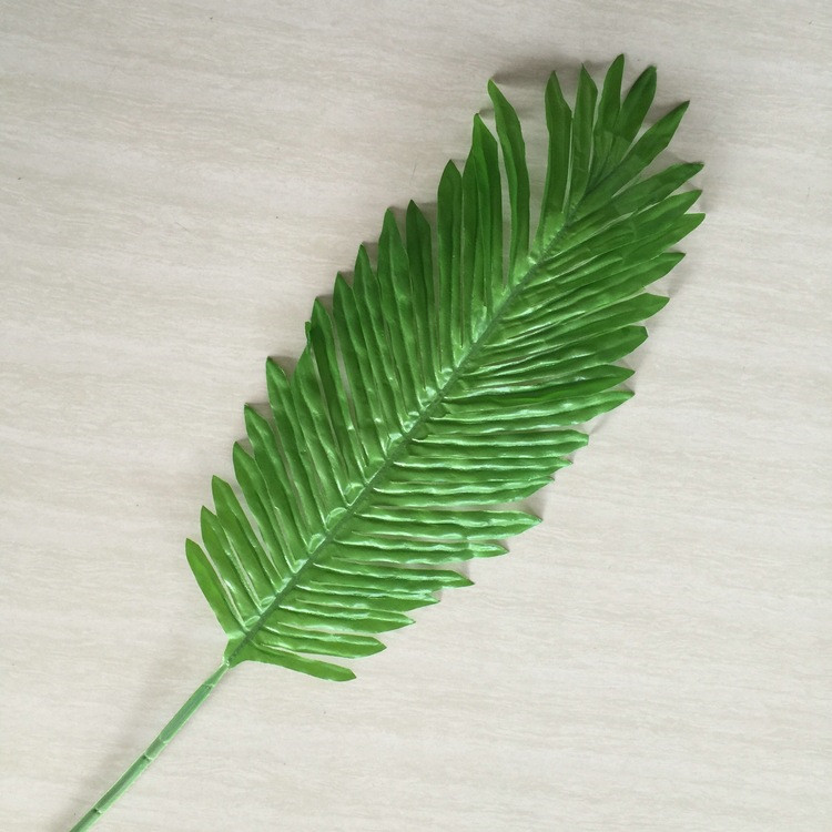 铁树叶