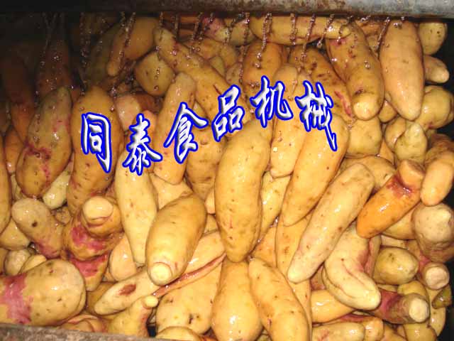 红薯清洗脱皮