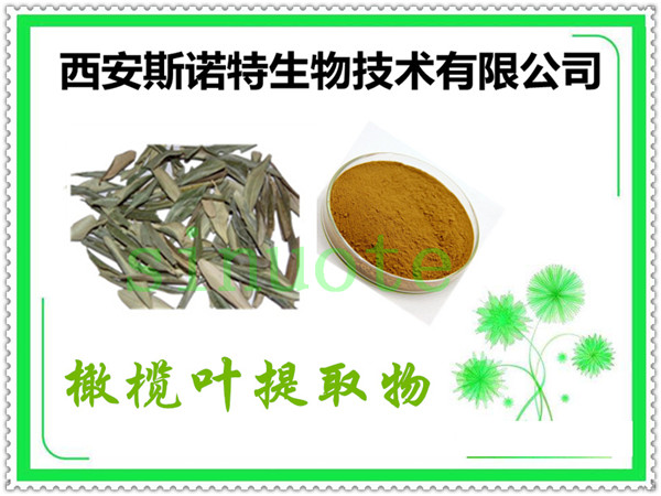 橄榄叶提取物组