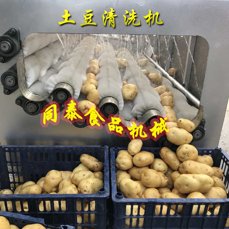 土豆清洗机4