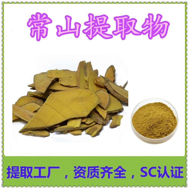 模板标准_副本