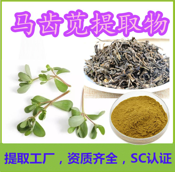 模板_副本