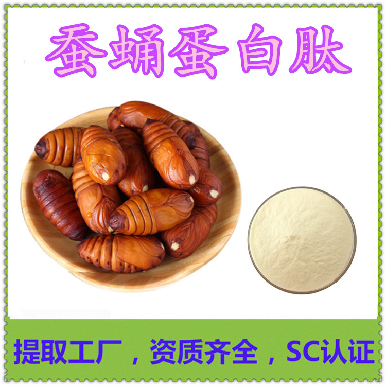 蚕蛹蛋白肽