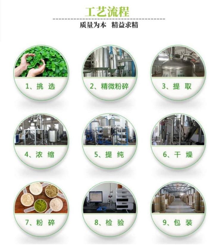 斯诺特工厂-工艺流程