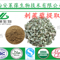 刺蒺藜提取物,刺蒺藜皂甙,40%刺蒺藜皂甙,刺蒺藜果实