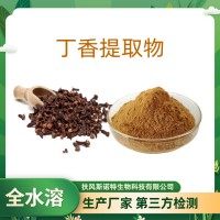 丁香提取物 浓缩丁香粉 药食同源 SC厂家供应