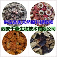 风寒草提取物风寒草浓缩粉风寒草浸膏粉供应各类水溶性熟化粉