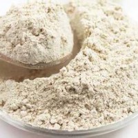 薏苡仁薏米粉-厂家