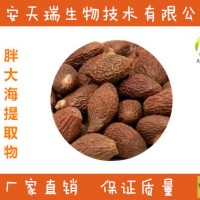 胖大海提取物  胖大海粉  实力厂家