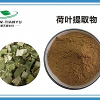 荷叶提取物 荷叶碱2% 荷叶碱10%