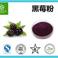 黑莓粉 黑莓汁粉 露梅粉 SOD 花青素 花色苷 含量高