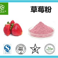 鲜草莓粉 草莓果粉 草莓速溶粉 扶风生产基地专业水果粉