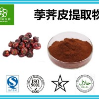 荸荠皮提取物 荸荠皮花青素98% 扶风生产基地 现货供应