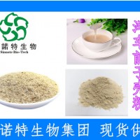 印度洋车前子壳粉 圆苞洋车前子壳粉99% 膳食纤维素