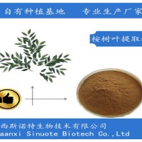 桉树叶提取物 高含量水萃取物 桉树叶粉