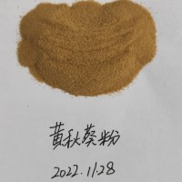 黄秋葵速溶粉，黄秋葵提取物，黄秋葵浓缩粉，黄秋葵粉