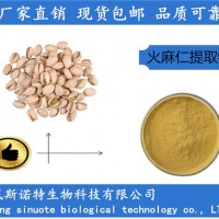 开心果提取物 开心果速溶粉 开心果浓缩粉厂家