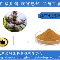 藤三七提取物 藤三七粉 厂家包邮