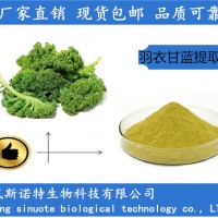 羽衣甘蓝提取物 20:1羽衣甘蓝粉 速溶现货