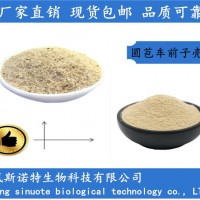 圆苞车前子壳 圆苞车前子壳纤维粉 99.9%含量