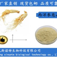 西洋参皂甙30% 西洋参总皂甙30%