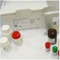 甲型流感H1荧光PCR试剂盒