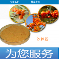 沙棘粉 药食同源食品资质齐全 现货