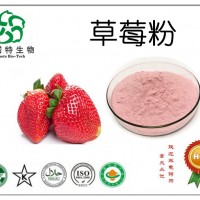 草莓粉 水果粉厂家