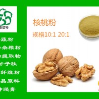 核桃粉 核桃仁提取物 水提 喷雾 浓缩粉 食品保健原料
