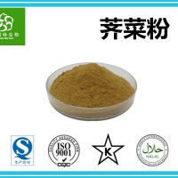 荠菜粉 荠荠菜粉 荠菜提取物 全水溶 专业蔬菜粉厂家