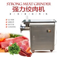 立式不锈钢绞肉机 多功能鲜肉碎肉机 猪肉牛肉鱼肉加工设备