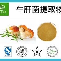 牛肝菌提取物 牛肝菌粉 牛肝菌多糖 源头生产厂家当天发货